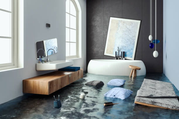 Best Mold removal after water damage  in Fairbury, NE