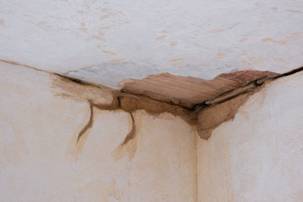 Best Basement water damage restoration  in Fairbury, NE