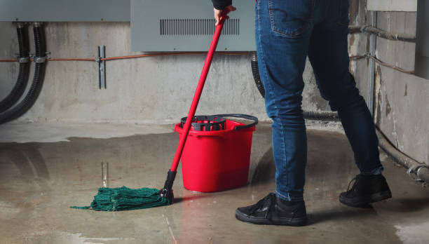 Best Water damage restoration near me  in Fairbury, NE
