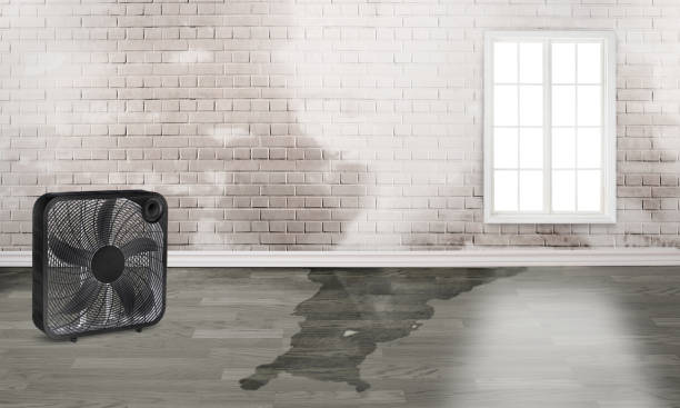 Best Water damage restoration near me  in Fairbury, NE