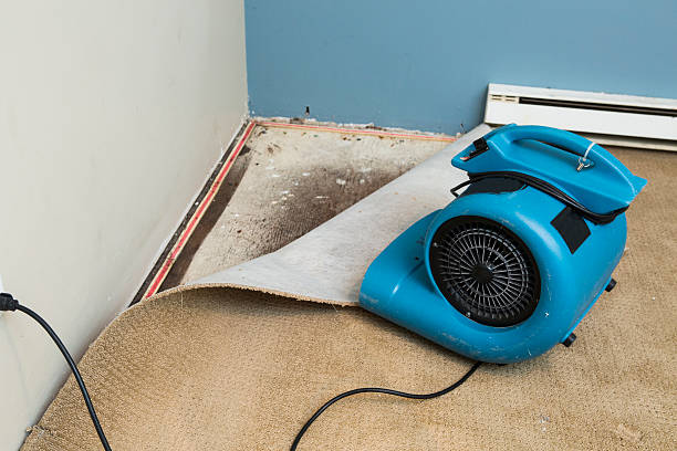  Fairbury, NE Water damage restoration Pros